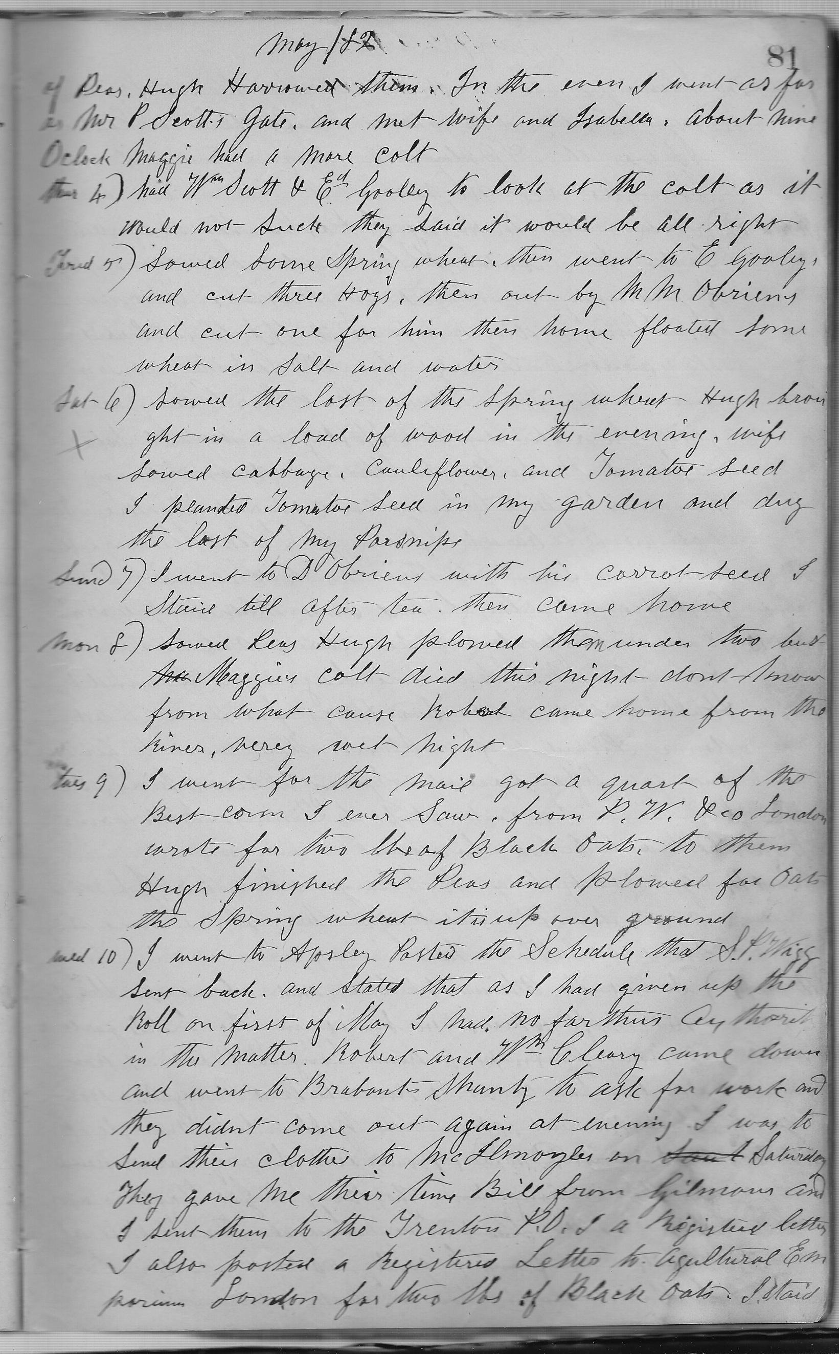 1596-Service File.jpg