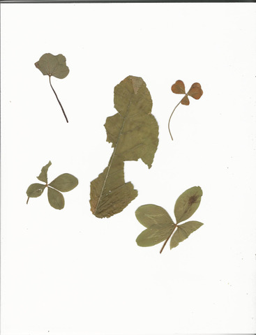 tula_14925_OBJ-Thumbnail Image.jpg