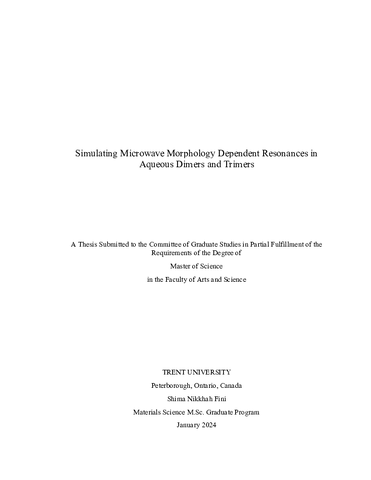 NikkhahFini_trentu_0513N_11111-Thumbnail Image.png